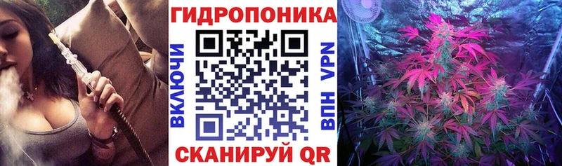Канабис White Widow  Купить  Чапаевск 
